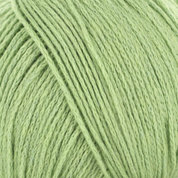 Olive (10)