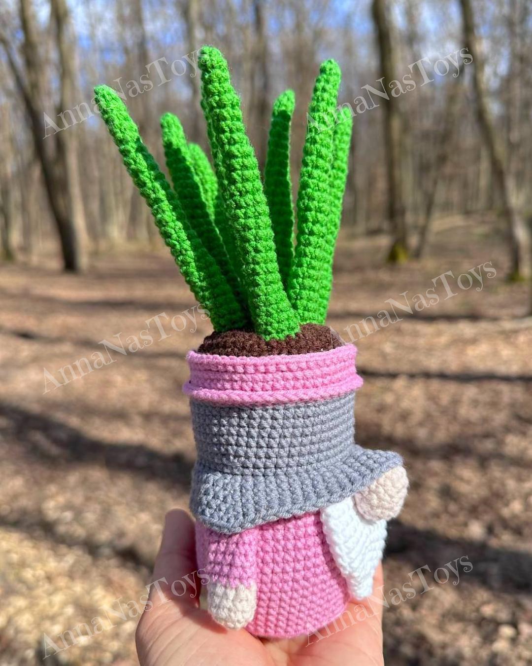 Gnome succulent_sansevieria 3