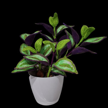 Crochet Tradescantia Zebrina plant