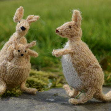 Kangaroo Family