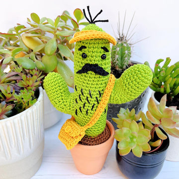 Curtis the Cactus