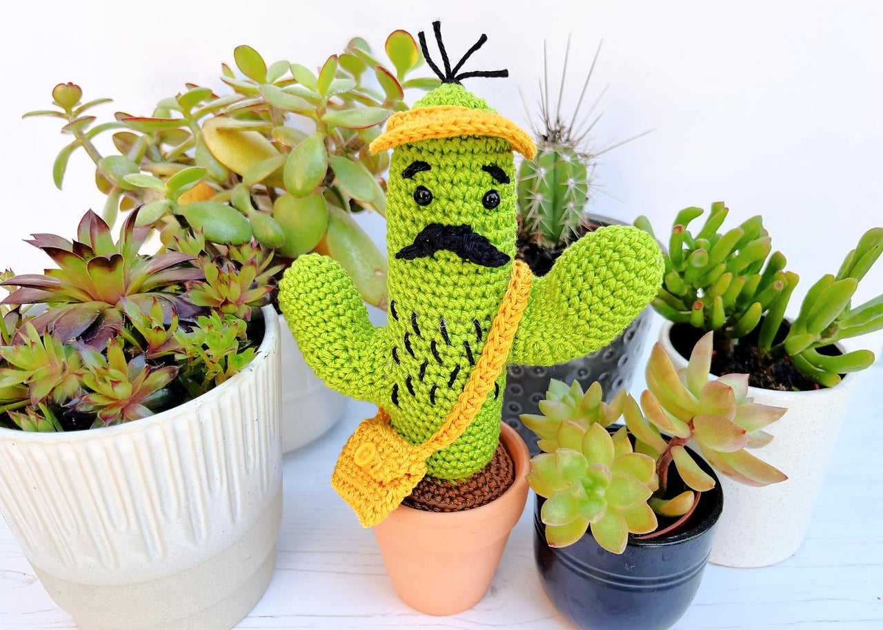 Curtis the Cactus