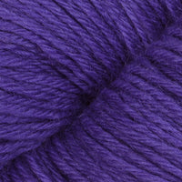 Purple Larkspur (12274)