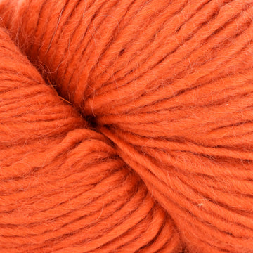 Squash (13)