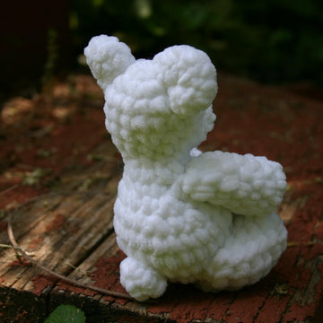 Valentino the Bear