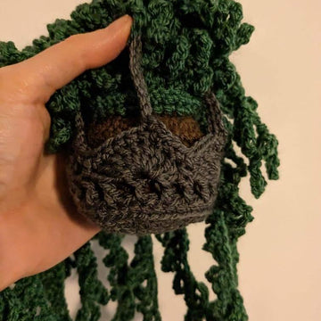 Hanging happiness plant