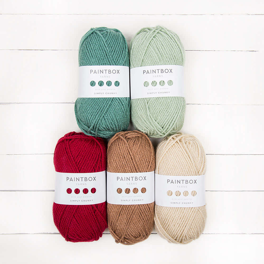 Paintbox Yarns Simply Chunky 5 Ball Colour Pack Designer Picks