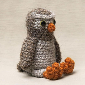 Odi the little owl