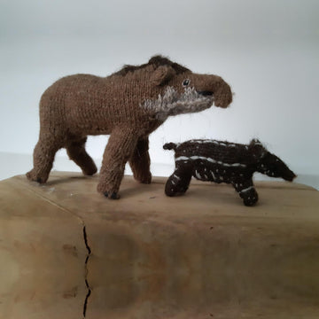Tapir (and bonus baby)