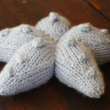 Sea Star