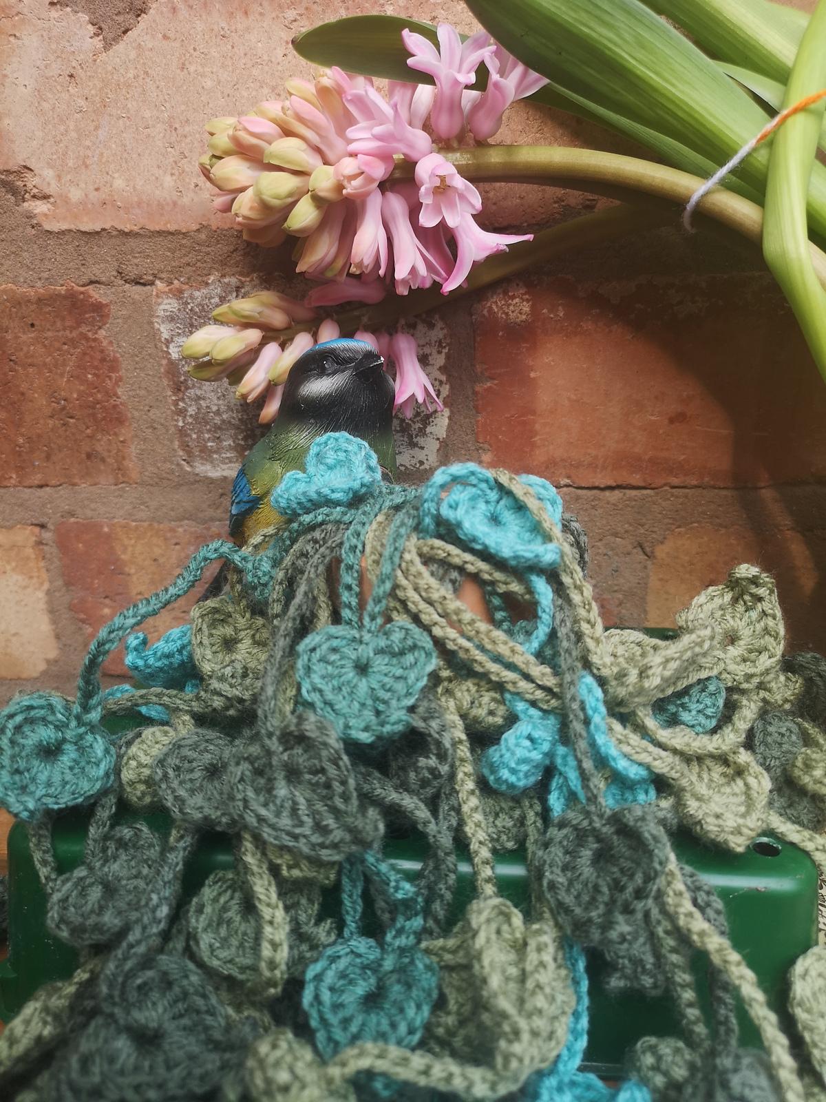Trail of hearts hanging plant