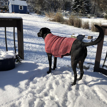 Murphy's Jumper