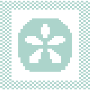 Sand Dollar Dishcloth