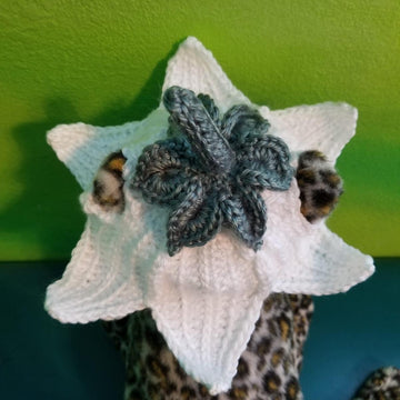 Flower (Lily) Cat Hat
