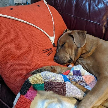 Fox Pillow