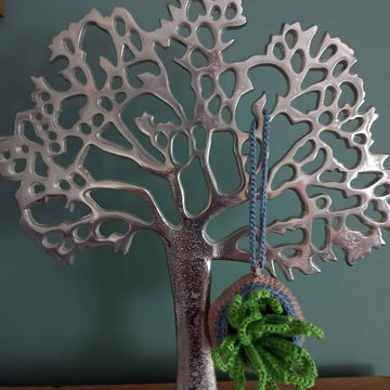 Air plant and holder