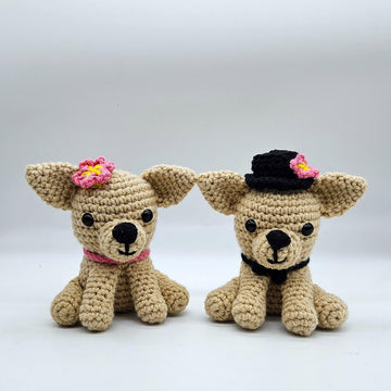 Chihuahua Couple