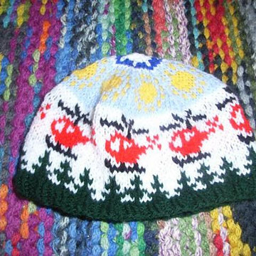 Little helicopter kids beanie