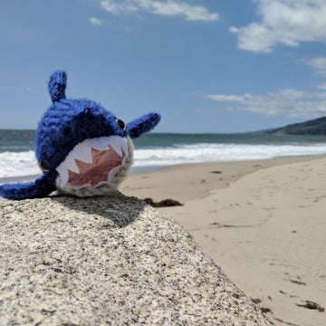 Clancy, Jr. the Shark