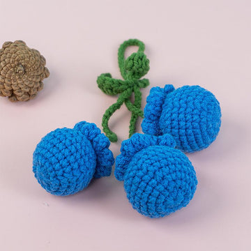 Blueberry Car Hanging