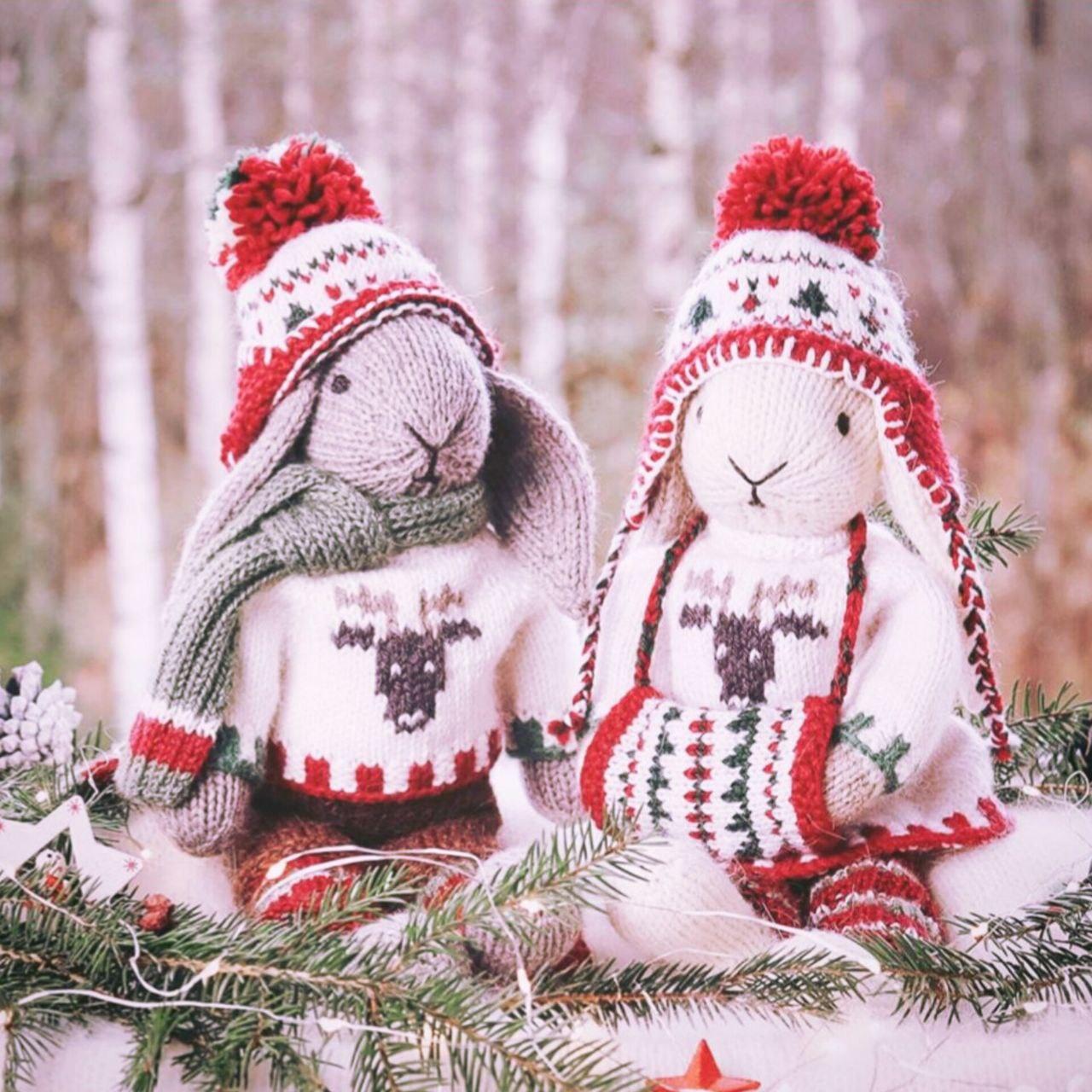 Christmas Bunny with Outfits