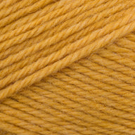 Girolle (29051)
