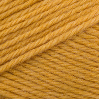 Girolle (29051)