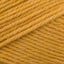 Girolle (29051)