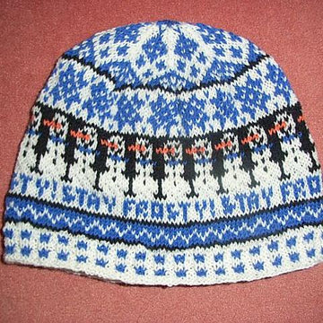 Stay frosty beanie