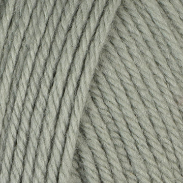Seagrass (350)