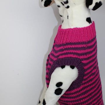 Chunky Stripe Dog Coat