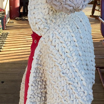 Dog Hooded Scarf