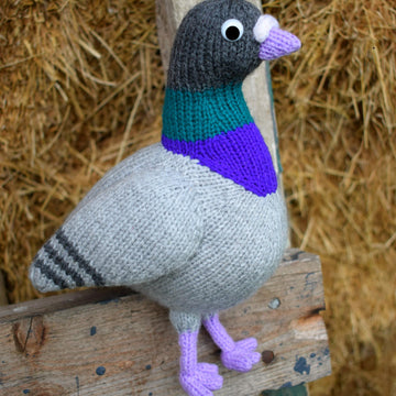Paul the Pigeon