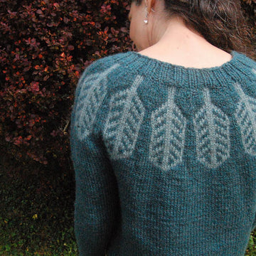 Flight Feathers