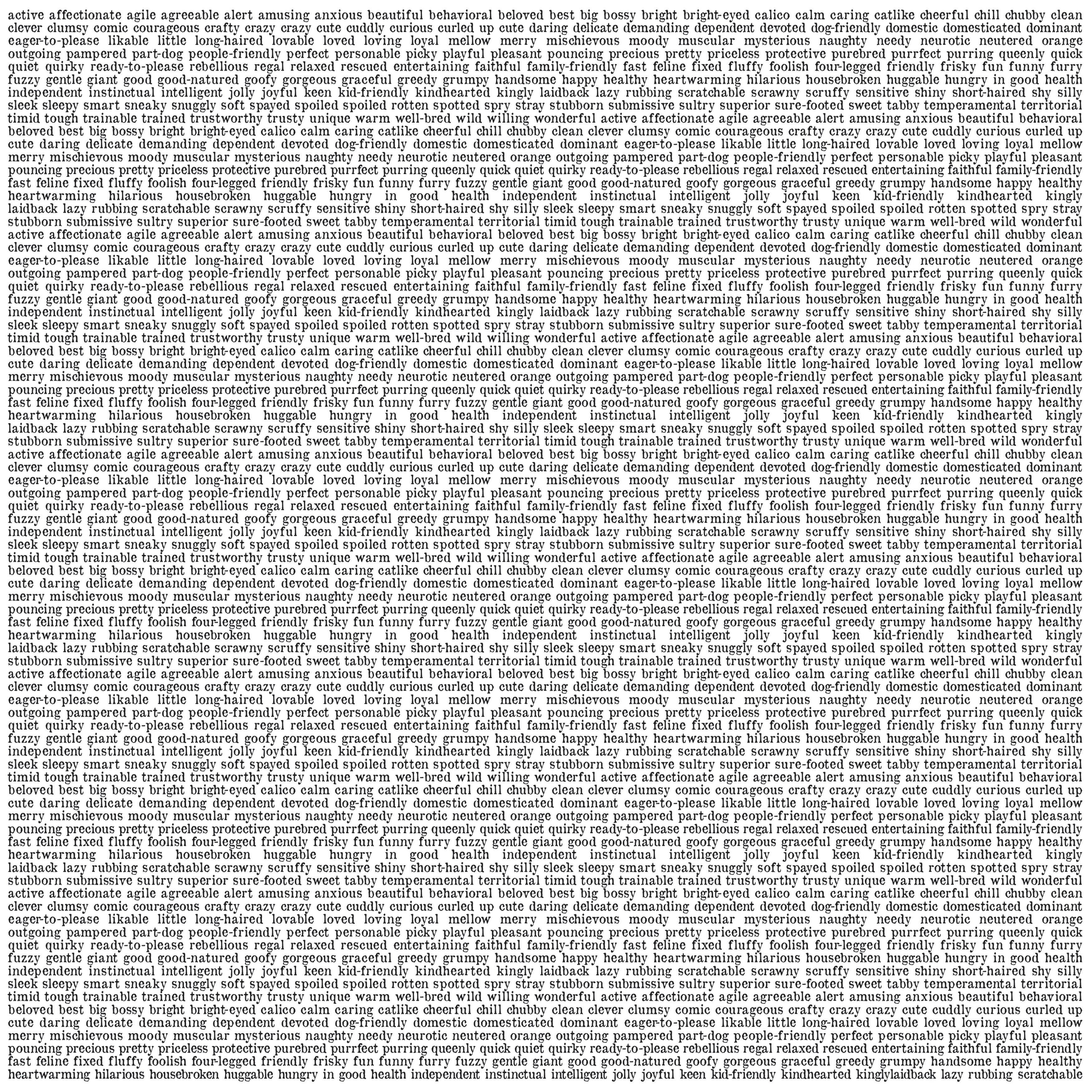 Doodlebug Bella Chloe Double-Sided Cardstock 12"X12" 25/Pkg - Cat Crazy