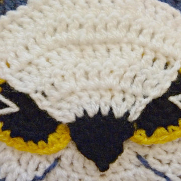 Midnight Eagle Owl Afghan Square