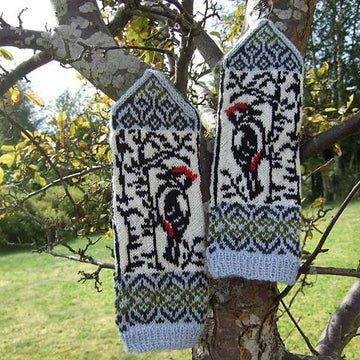 Woodpecker