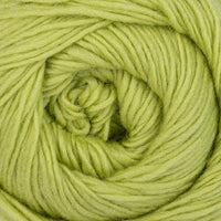 Pistachio Branch (878)