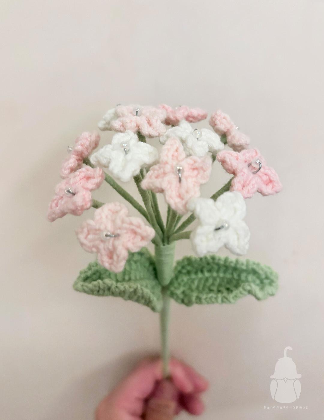 Hydrangea