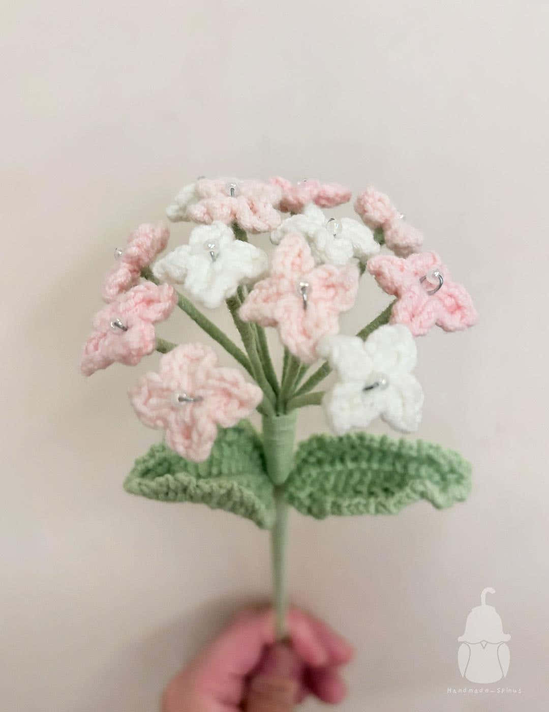 Hydrangea