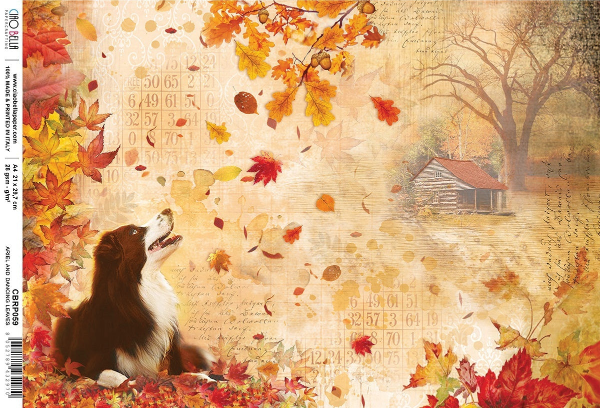 Ciao Bella Rice Paper Sheet A4 5/Pkg - Ariel/Dancing Leaves, Sound Of Autumn
