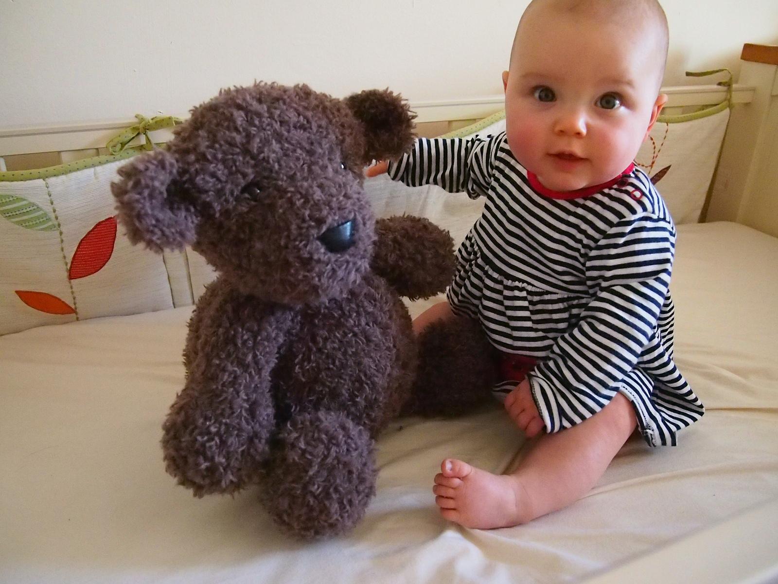 Bartholomew Bear