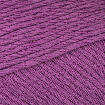 Plum (051)