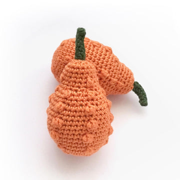 Warty Gourd