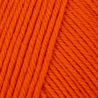 Pumpkin (822)