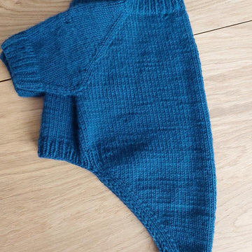 Dog Sweater Charlie No.1