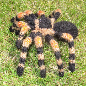 My Pet Tarantula