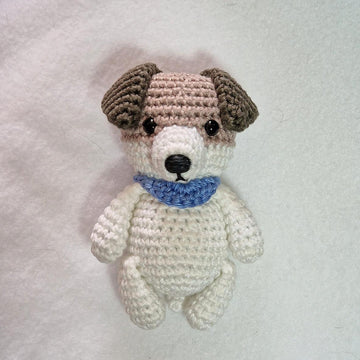 Jack Russell Terrier Dog