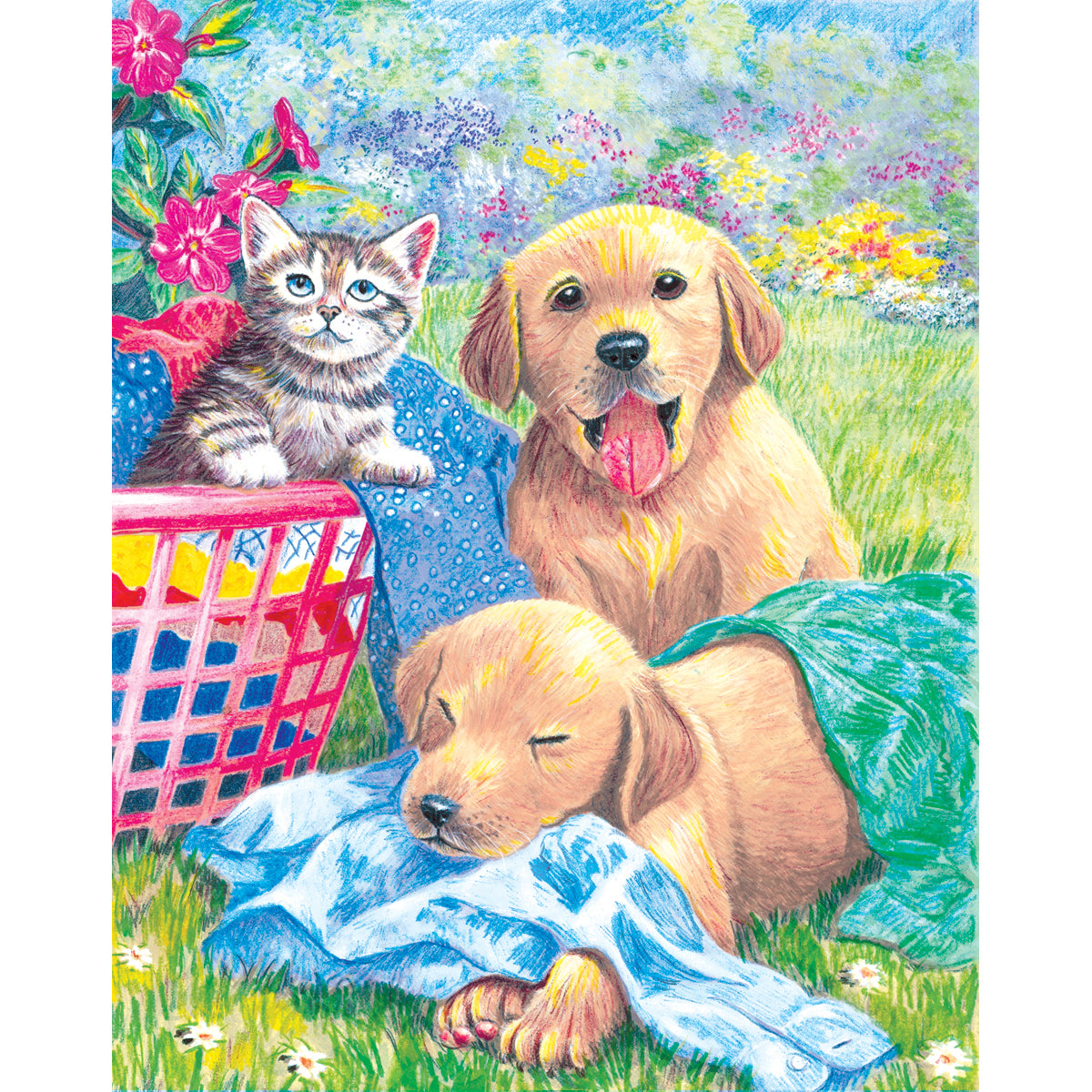 Royal Brush Color Pencil By Number Kit 8.75"X11.75" - Wash Day Fun