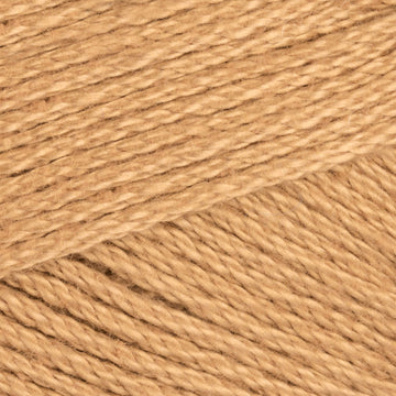 Camel (124)